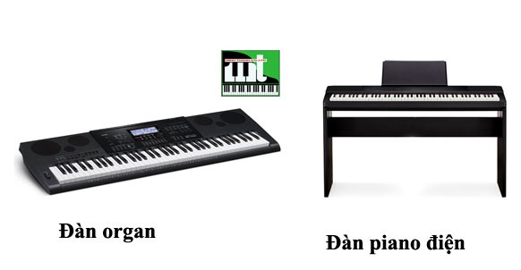 dan-piano-va-organ-khac-nhau-nhu-the-nao