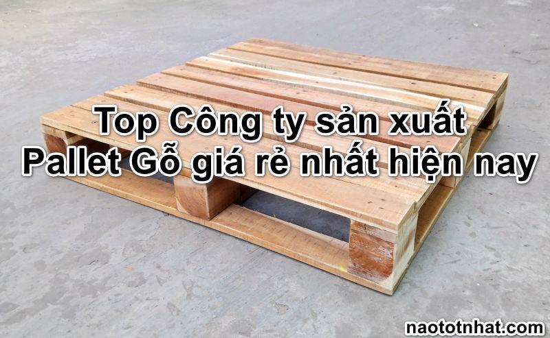 cong-ty-san-xuat-pallet-go
