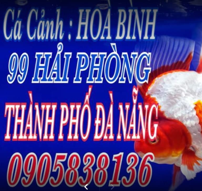 Cua-hang-ca-canh-Hoa-Binh-TP-Da-Nang