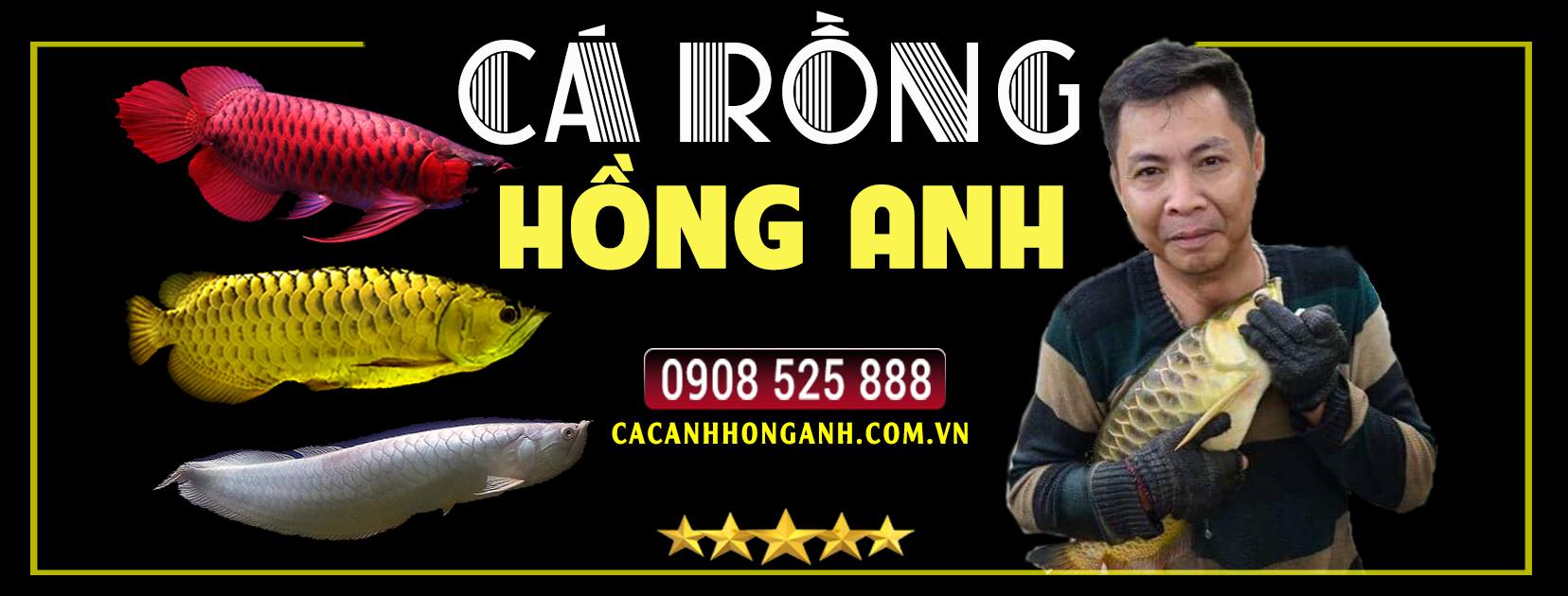 Cua-hang-ca-canh-Hong-Anh