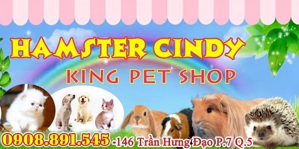 Cindy Shop - King Pet Shop