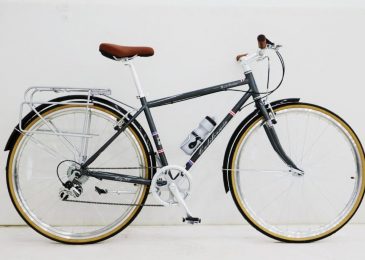 xe đạp california modeltime tphcm