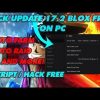 hack-blox-fruit-update-17-part2-2022