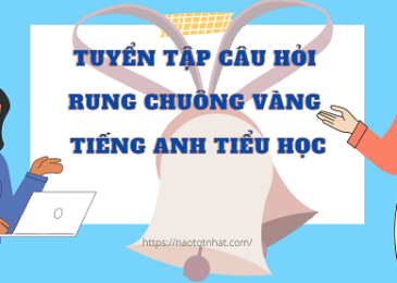 cau-hoi-rung-chuong-vang-tieng-anh-tieu-hoc
