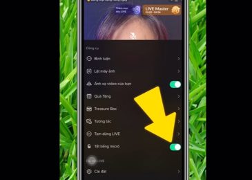 Cách tắt Mic, tắt tiếng khi Live Game trên TikTok