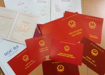 Sinh năm 1998 tốt nghiệp cấp 3 năm nào