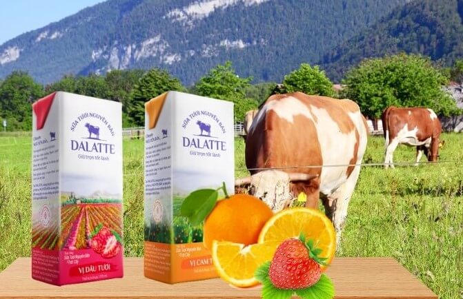 Dalatte nguyên bản & trái cây